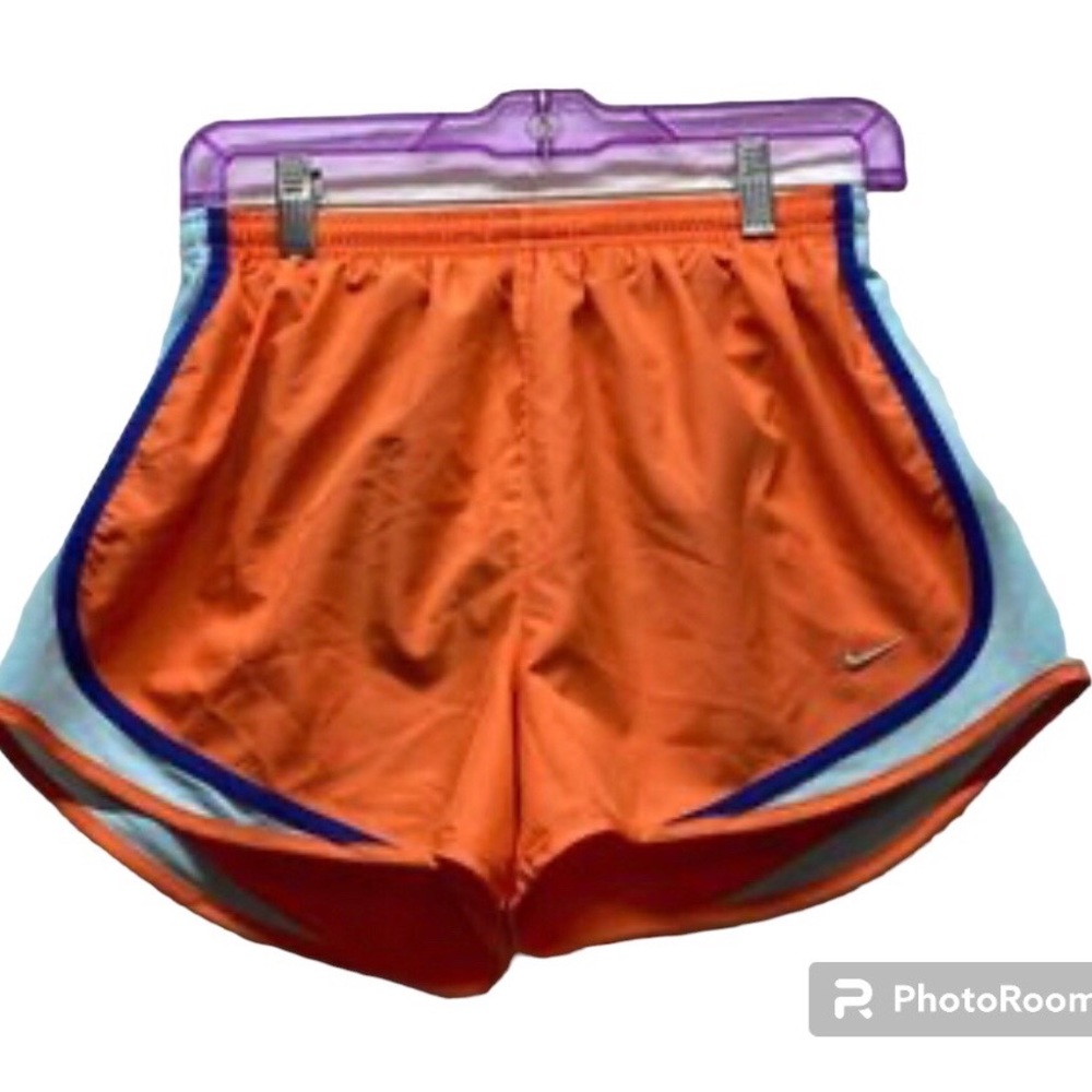 Nike Dri-Fit Shorts (M)